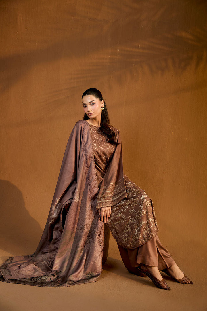 Design 1B Winter Shawl 2025 Unstitched