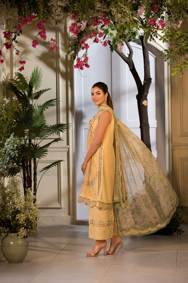 Design 1B Vital 2025 Unstitched