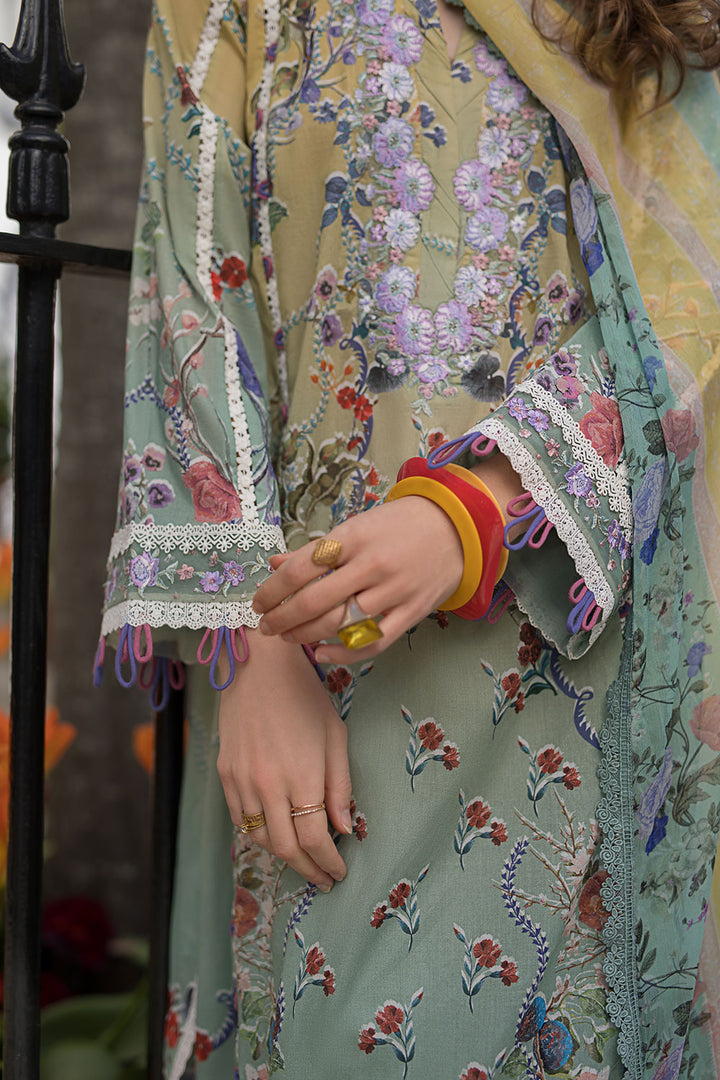 Design 2B SN Basics 2025 UNSTITCHED