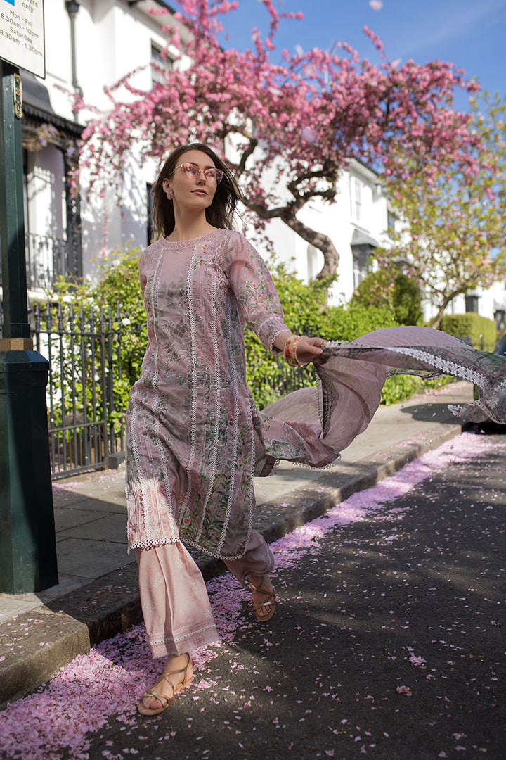 Design 5A SN Basics 2025 UNSTITCHED