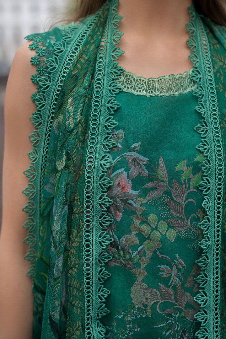 Design 5B SN Basics 2025 UNSTITCHED