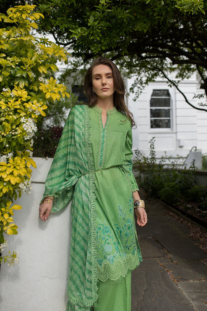 Design 7B SN Basics 2025 UNSTITCHED