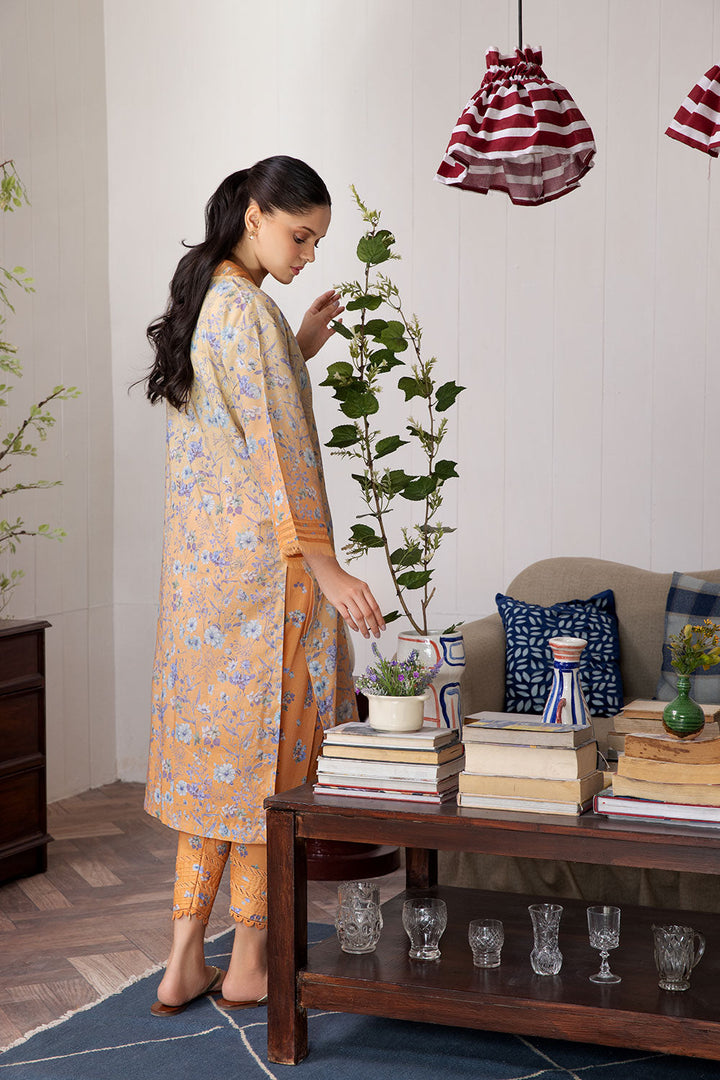 Design 4A SN Basics 2024 UNSTITCHED